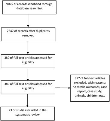 Association between ambient temperature and stroke risk in high-risk populations: a systematic review